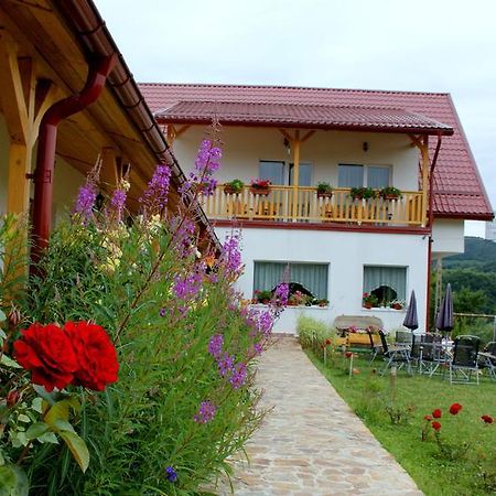 Pensiunea Poezii Alese Valea Drăganului Dış mekan fotoğraf