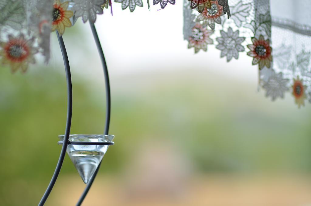 Pensiunea Poezii Alese Valea Drăganului Oda fotoğraf