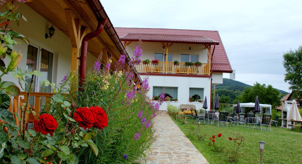Pensiunea Poezii Alese Valea Drăganului Dış mekan fotoğraf