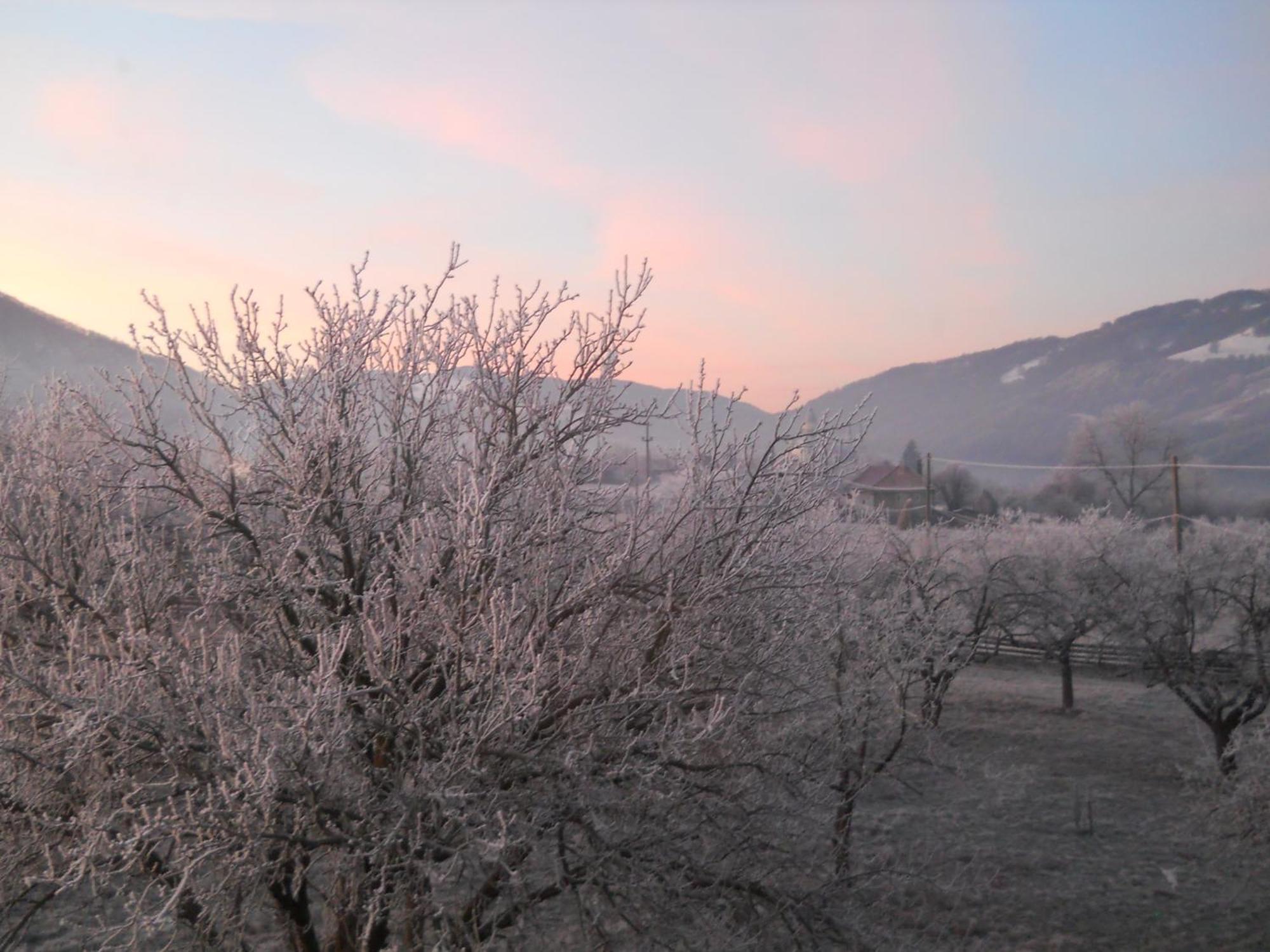 Pensiunea Poezii Alese Valea Drăganului Dış mekan fotoğraf