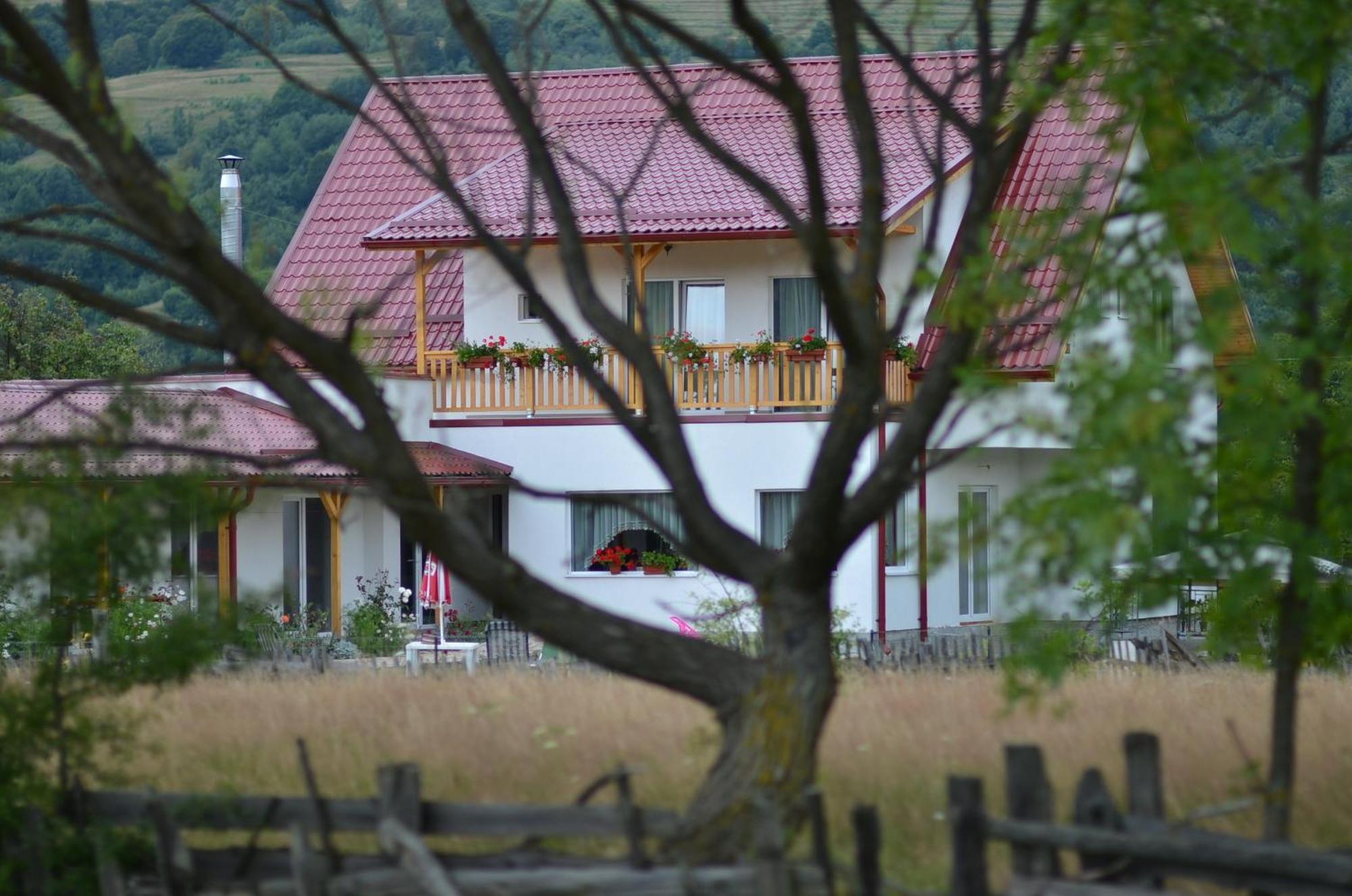 Pensiunea Poezii Alese Valea Drăganului Dış mekan fotoğraf