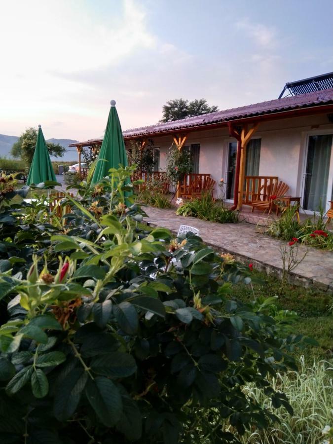 Pensiunea Poezii Alese Valea Drăganului Dış mekan fotoğraf